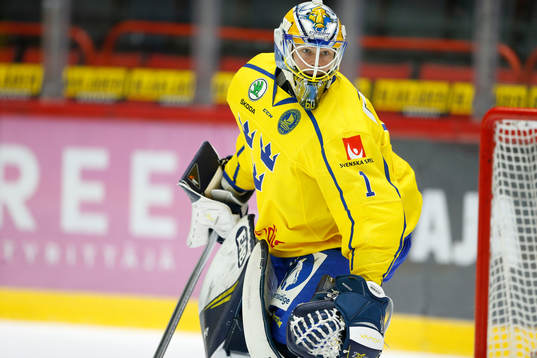 Hugo Alnefelt #1, SWE