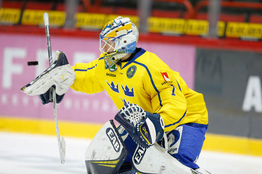 Hugo Alnefelt #1, SWE