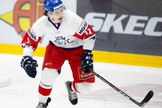 Jan Sir #11, CZE