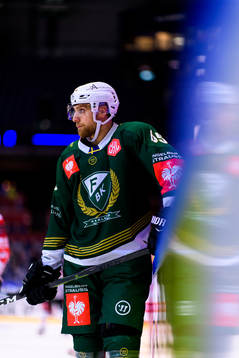 Vojtech Mozik of Färjestad