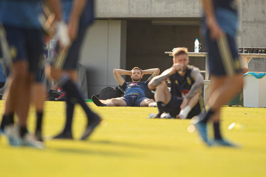 Marcus Berg of the Swedish national football team