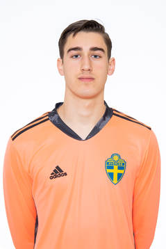 Jovan Lucic i P17-landslaget