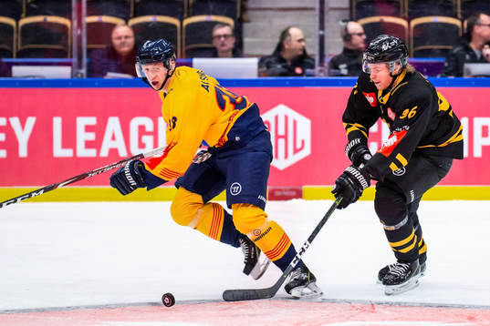Olle Alsing of Djurgården and Rickard Hugg of Skellefteå