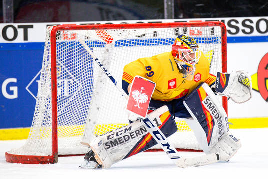 Goalkeeper Niklas Svedberg  of Djurgården