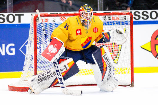 Goalkeeper Niklas Svedberg  of Djurgården