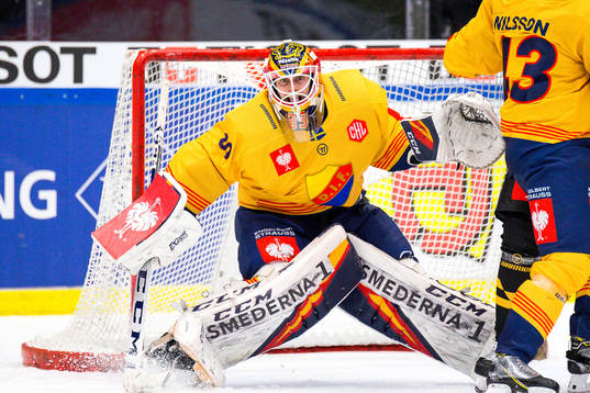 Goalkeeper Niklas Svedberg  of Djurgården
