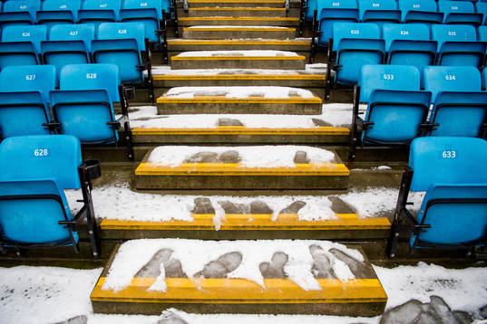 Snow in the stands