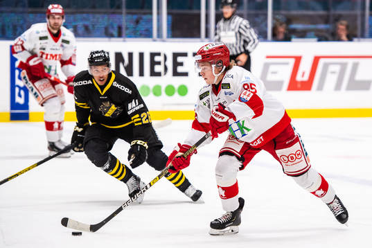 Timrås Filip Westerlund