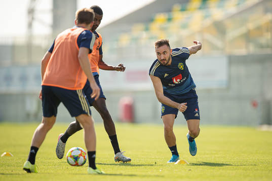 Muamer Tankovic of the Swedish national football team