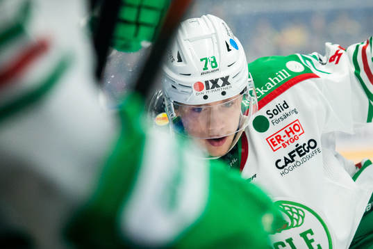 Rögles Dominik Bokk