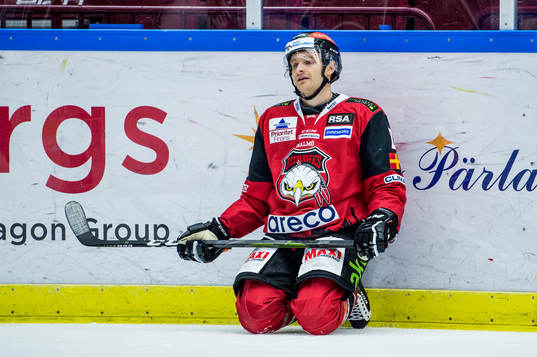 Malmö Redhawks Johan Olofsson deppar på isen