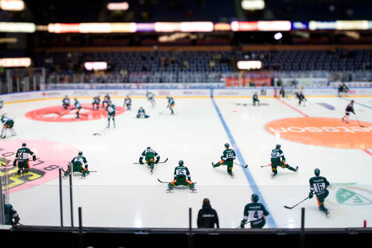 Färjestads spelare