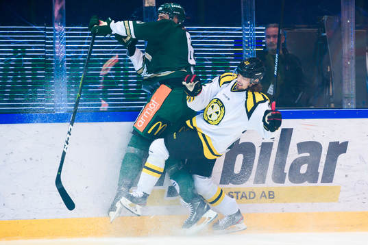 Brynäs Adam Brodecki