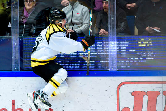 Brynäs Daniel Mannberg jublar