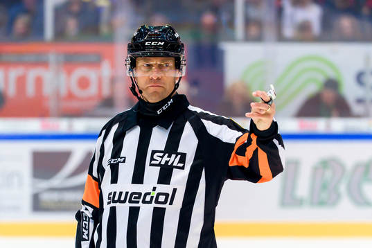 Domare Sören Persson