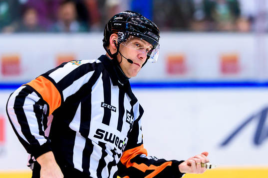 Domare Morgan Johansson