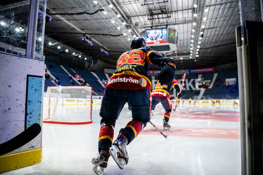 Djurgårdens Alexander Holtz
