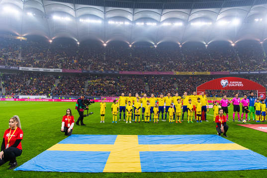 The players of Sweden