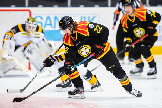 Brynäs Adam Brodecki