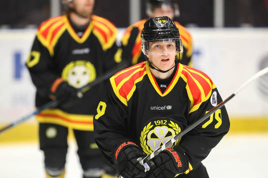 Bläddra bland fler bilder av Ishockey, SHL, Brynäs - Skellefteå