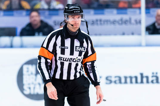 Domare Mikael Sjöqvist