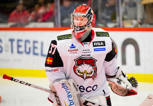 Malmö Redhawks målvakt Alfred Hallin