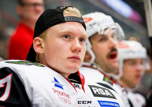Malmö Redhawks målvakt Alfred Hallin