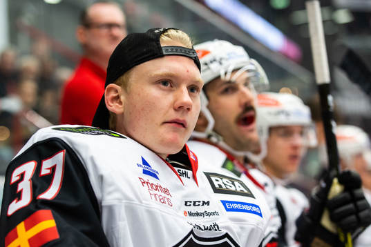Malmö Redhawks målvakt Alfred Hallin