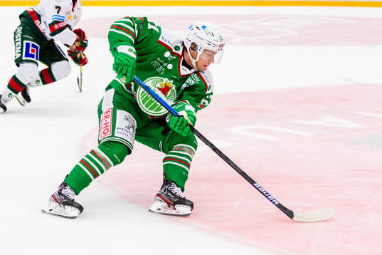 Rögles Leon Bristedt