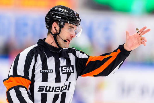 Domare Richard Magnusson