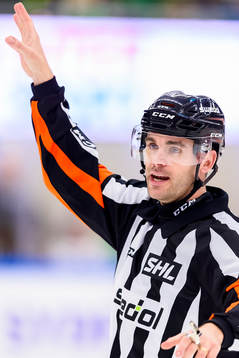 Domare Richard Magnusson