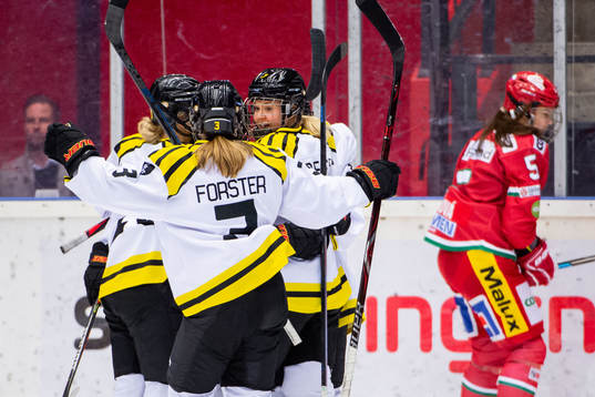 Brynäs spelare jublar