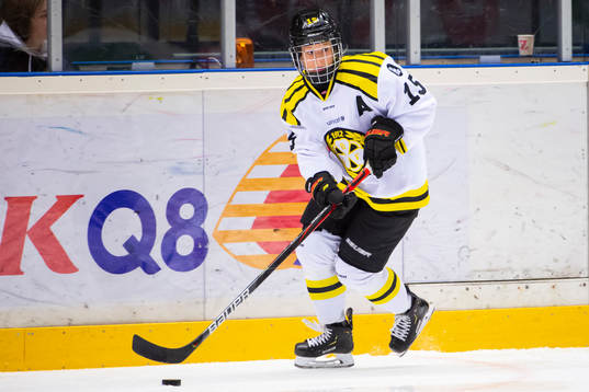 Brynäs Lara Stalder