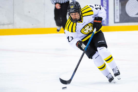 Brynäs Michela Cava