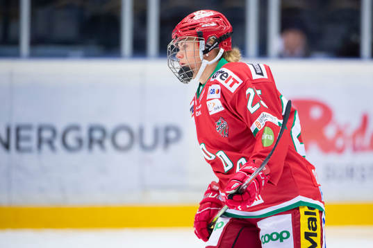 Modos Maja Grundström