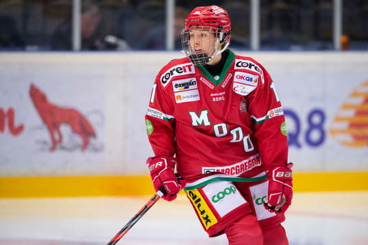 Modos Majken Gunnarsson