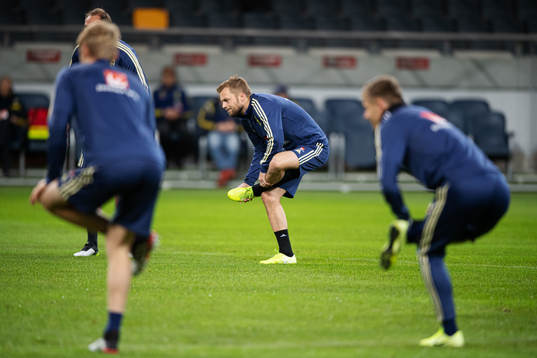 Sebastian Larsson of the Swedish national football team