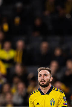 Muamer Tankovic of Sweden