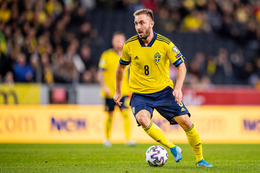 Muamer Tankovic of Sweden