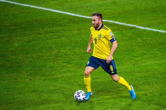 Muamer Tankovic of Sweden