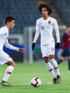 Tomas Tavares of Portugal