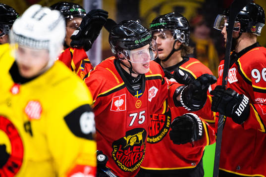Bläddra bland fler bilder av Ice hockey, CHL, Round of 16, Luleå - Bern