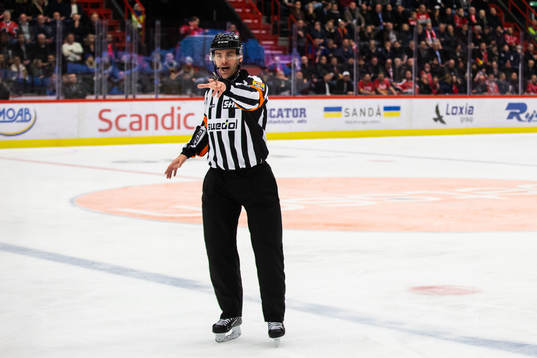 Domare Mikael Holm