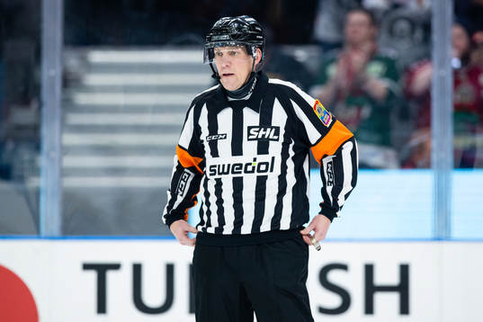 Domare Morgan Johansson