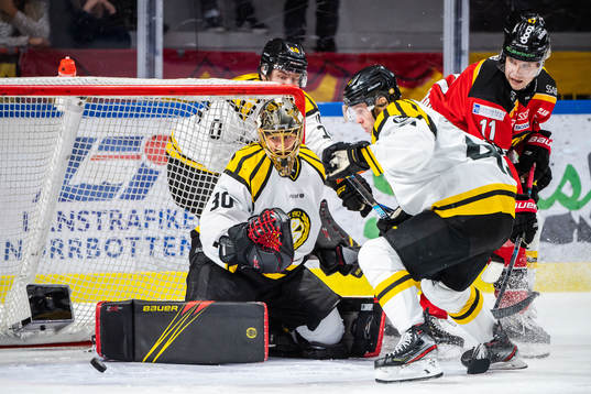 Brynäs målvakt Joacim Eriksson