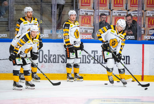 Skellefteås spelare