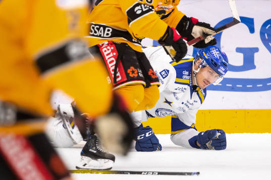 Leksands Jon Knuts