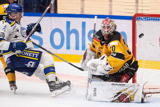 Luleås målvakt David Rautio