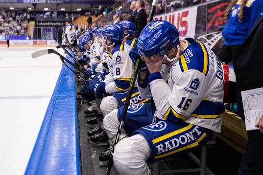 Leksands Daniel Gunnarsson  deppar i båset
