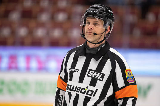 Domare Mikael Nord
